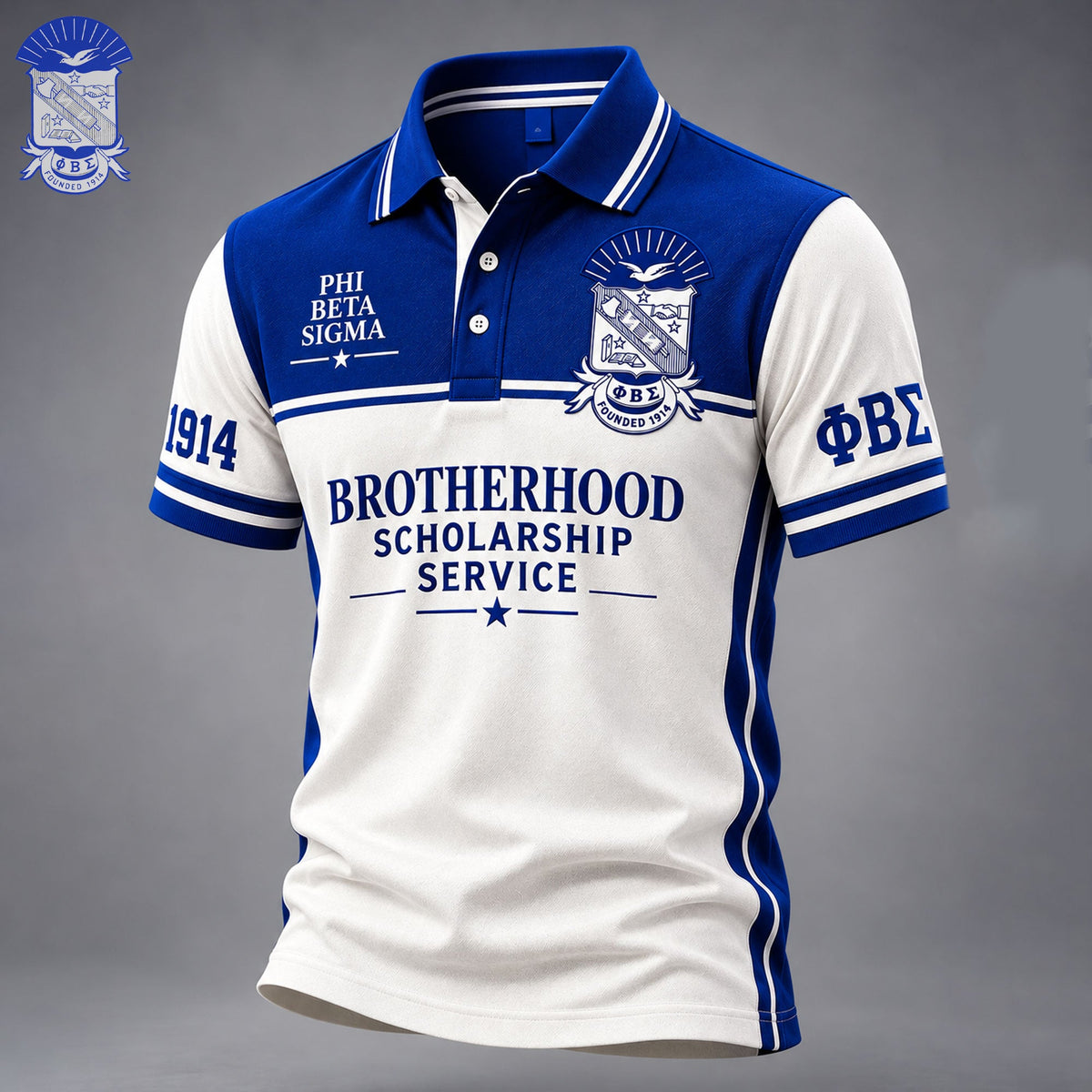 PREMIUM POLO SHIRT HANNN TND PBS 22102610